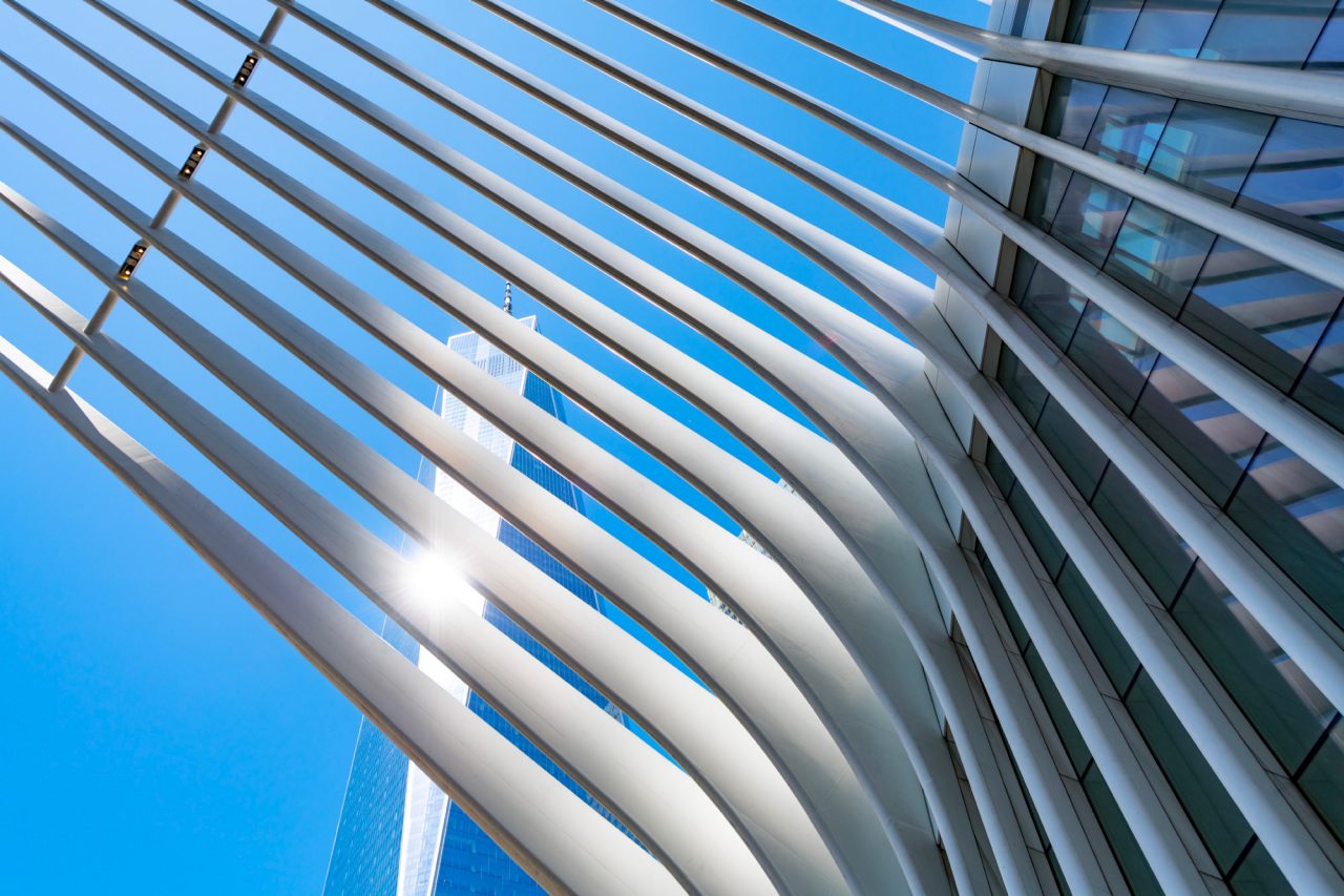 the oculus